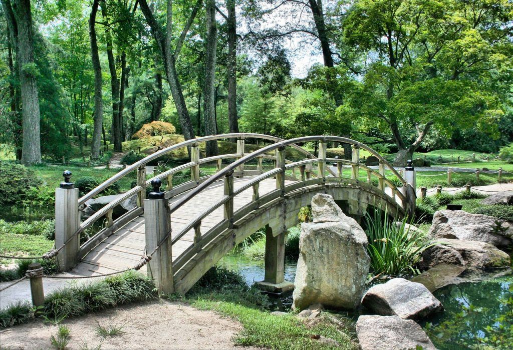 日本庭園の画像
